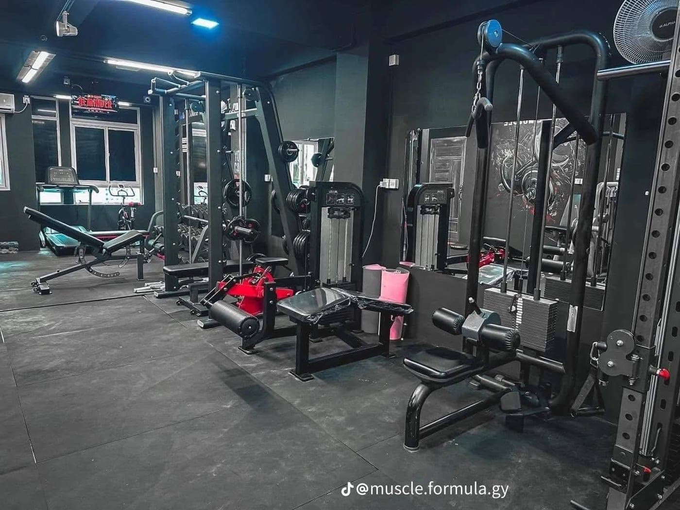 Muscle Formula 2