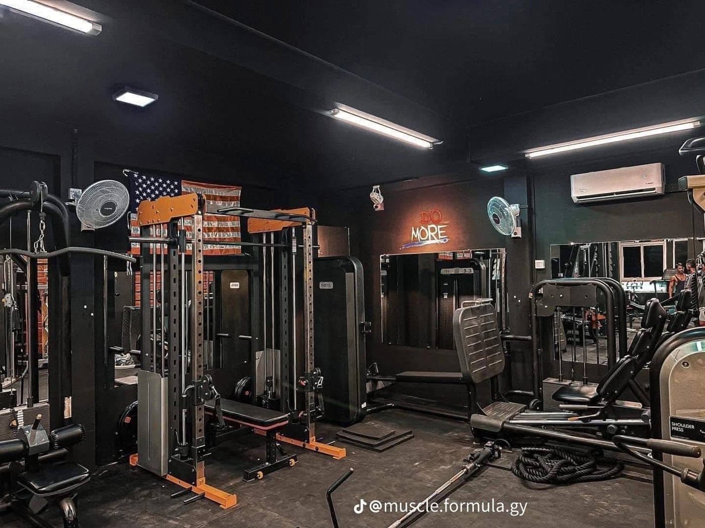 Muscle Formula 3